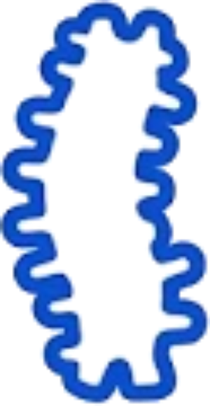A blue wavy outline shape on a black background