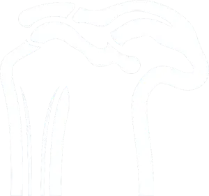 Abstract white line art illustration on a black background