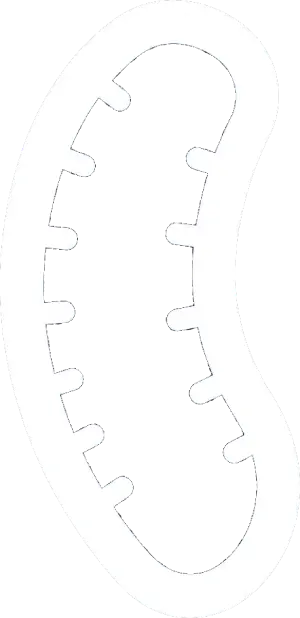 A white line art illustration of a kebab or sausage shape on a black background